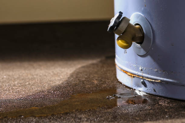 Best 24-hour water damage restoration  in Beachwood, NJ