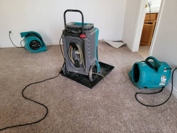 Best Flood restoration services  in Beachwood, NJ