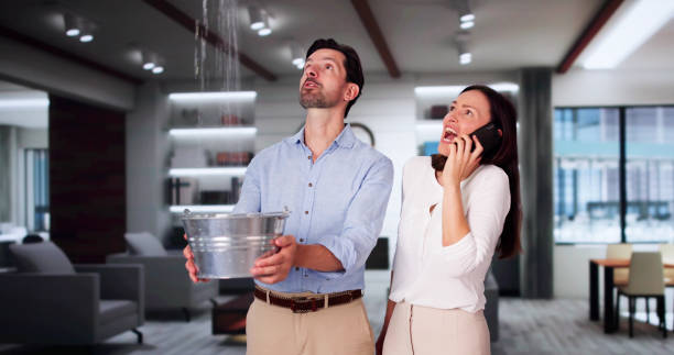 Best Flooded house restoration  in Beachwood, NJ